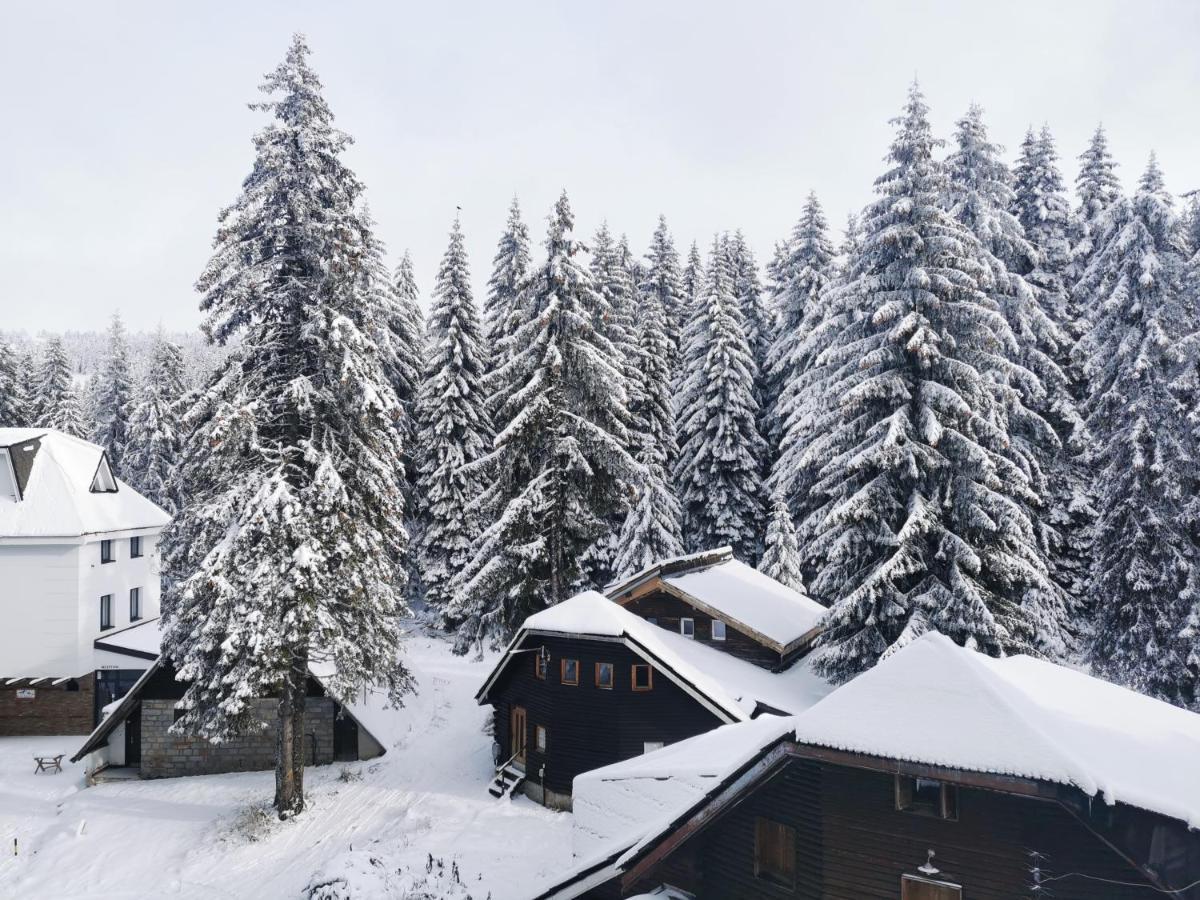 Apartments Zed Vila Zvoncica Kopaonik Exterior photo