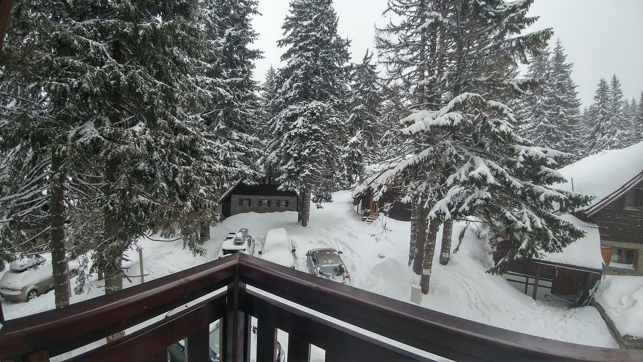 Apartments Zed Vila Zvoncica Kopaonik Exterior photo